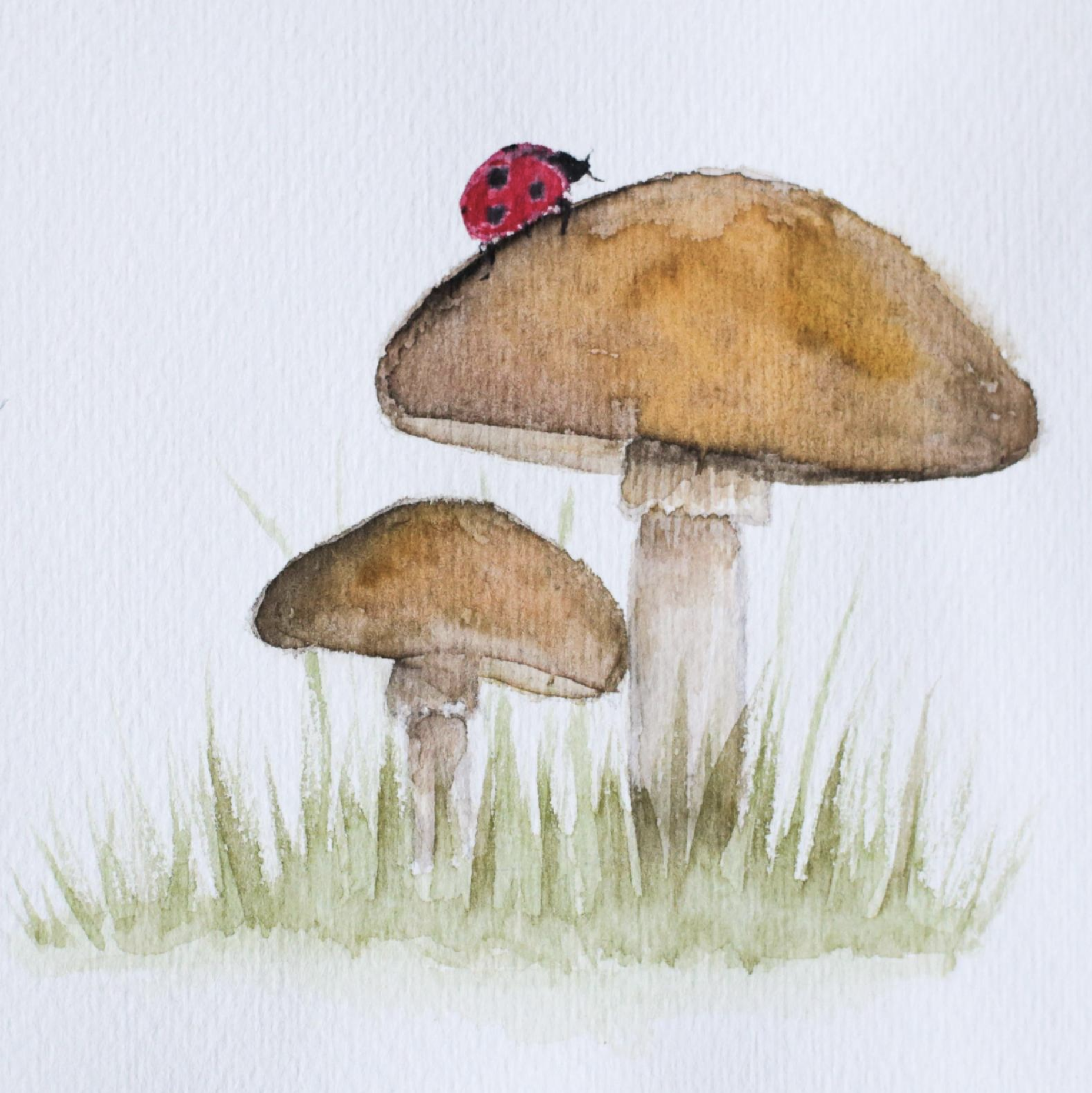 Magisches aufgeschlagenes Buch mit Sternen und Tieren