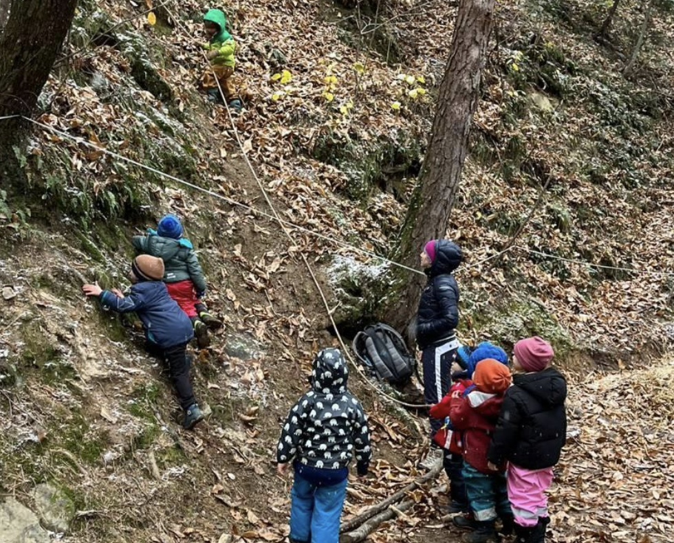 Kinder beim Erkunden der Natur
