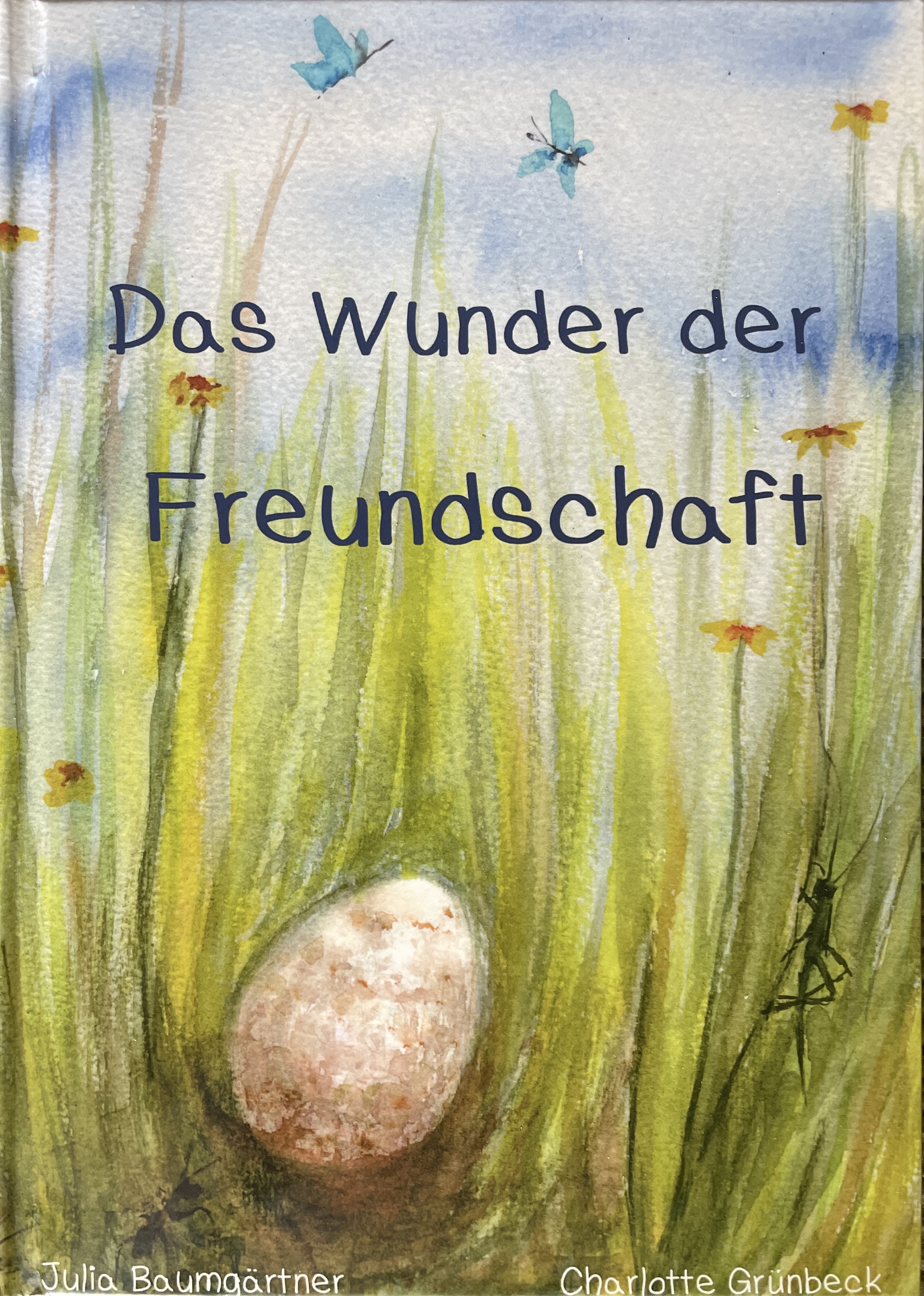 Buchcover: Das Wunder der Freundschaft